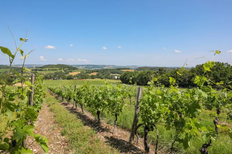 Randonnée Oenorando® La Birado — Cabanès