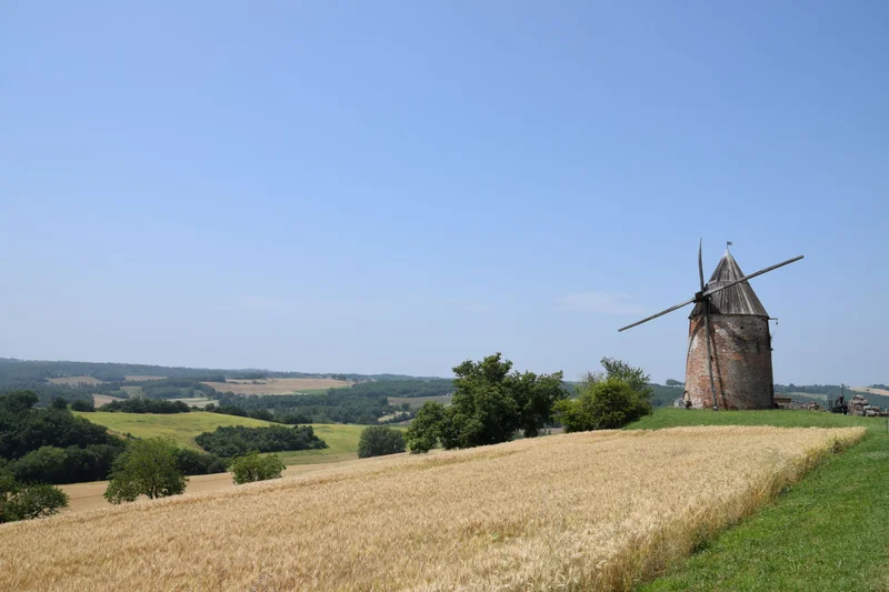 Randonnée Vallons et forêts — Rabastens