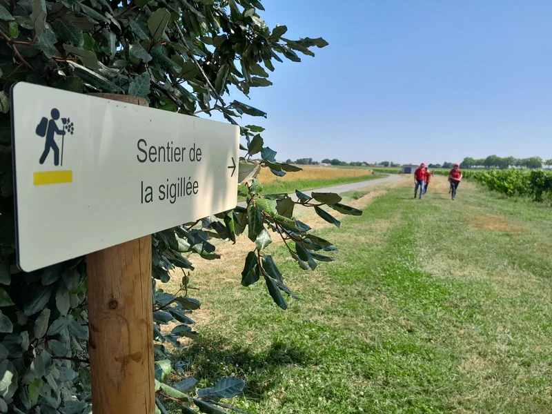 Randonnée Oenorando® Sentier de la Sigillée — Montans