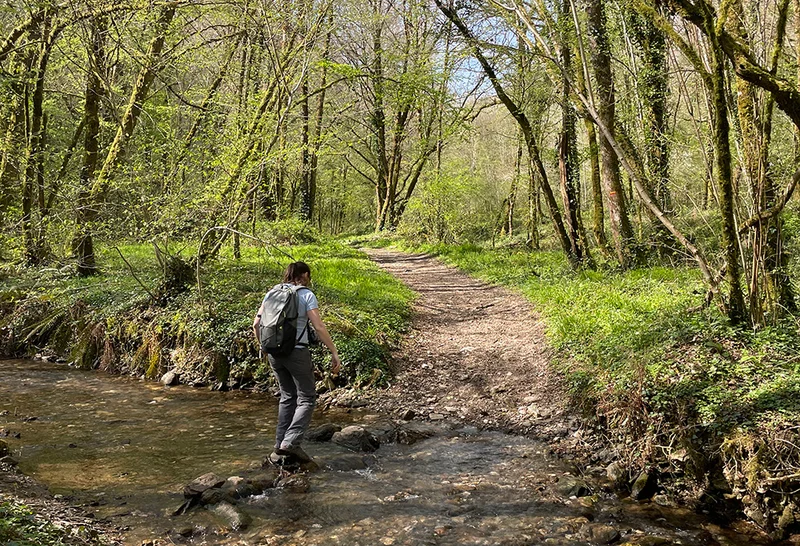 Randonnée Sentier de Cazouls — Mirandol-Bourgnounac