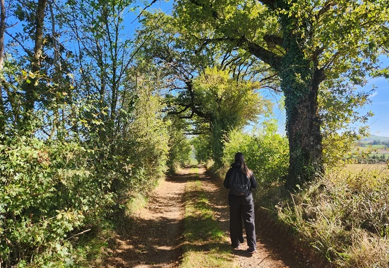 Randonnée La vallée de la Blaze — Teillet