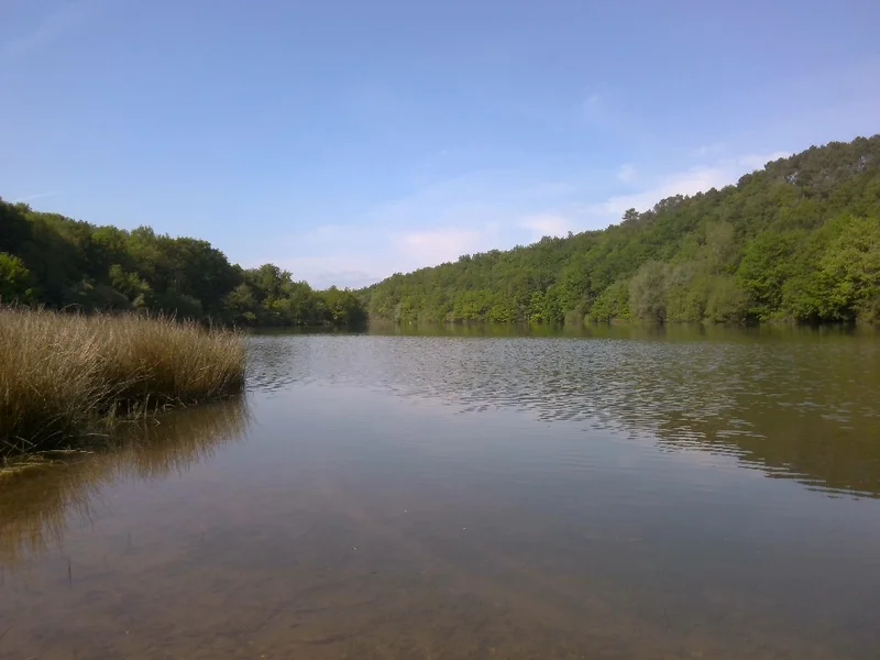 Randonnée Le sentier du lac — Terre-de-Bancalié