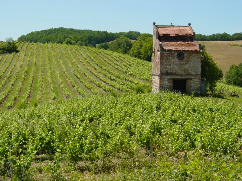 Randonnée Les Hauts de Gaillac — Gaillac