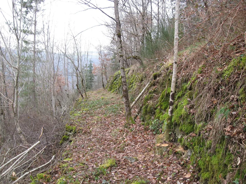 Randonnée Jouqueviel-le-Tel — Jouqueviel