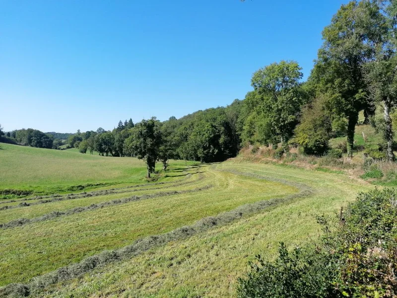 Randonnée Saint-Salvi-de-Carcavès — Saint-Salvi-de-Carcavès