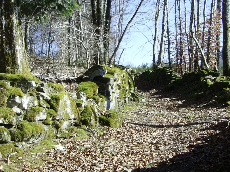 Randonnée La balade Monteliote — Lamontélarié