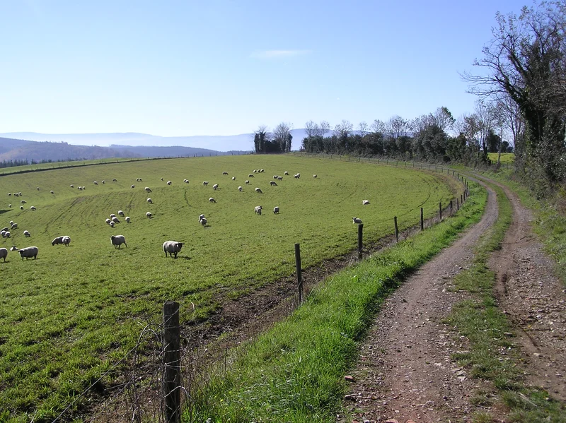Randonnée Le plateau d'Anglès — Anglès