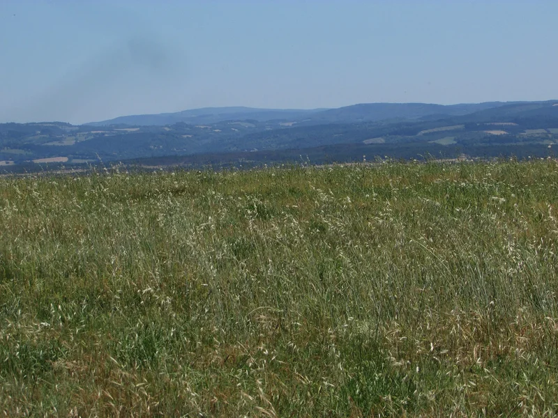 Randonnée Le sentier des Gaux — Labruguière