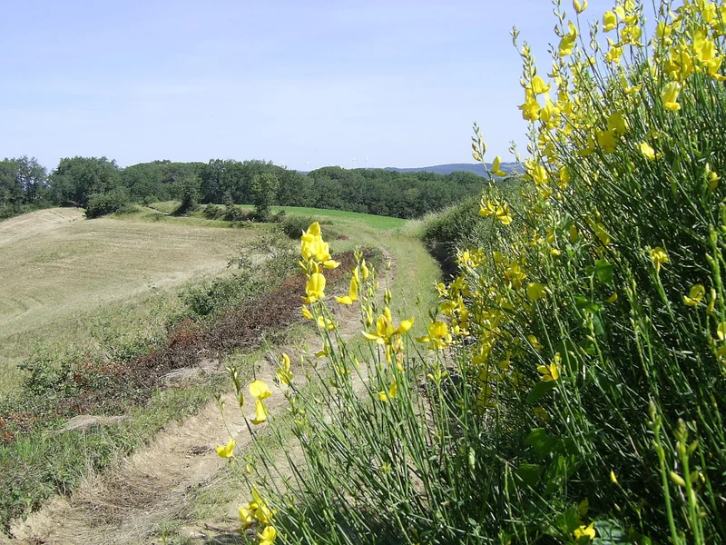 Randonnée Le sentier de Saint-Sébastien · Puylaurens