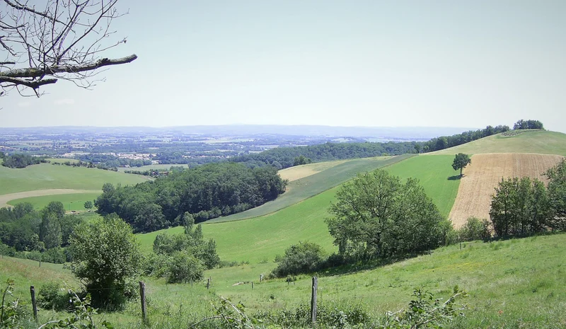 Randonnée Les collines du Vaurais — Lavaur
