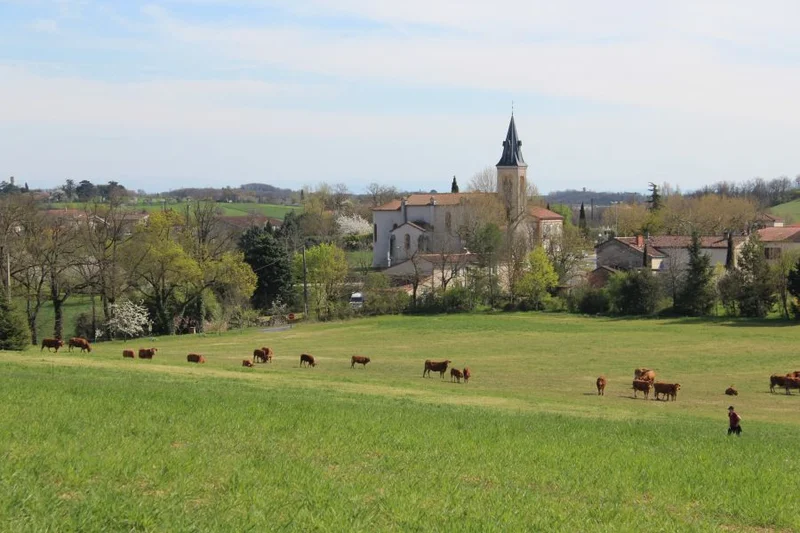Randonnée Les coteaux de Carlus — Carlus