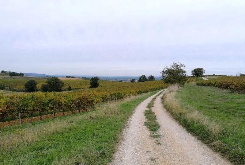 Randonnée Le lac des Auzerals — Rabastens