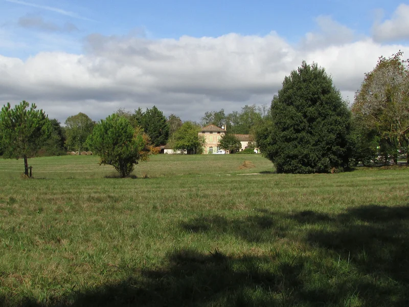 Randonnée La forêt de Sivens — Lisle-sur-Tarn