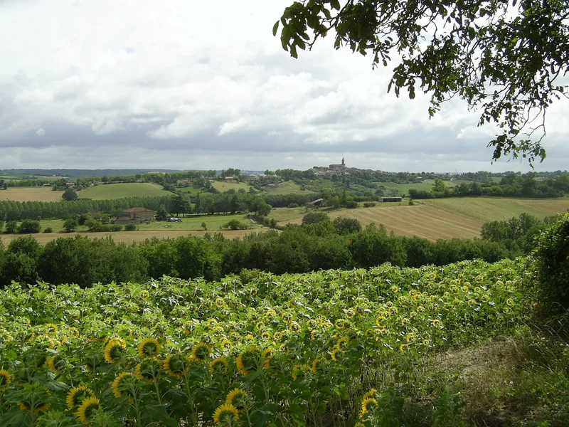 Randonnée Le Salvagnacois — Salvagnac