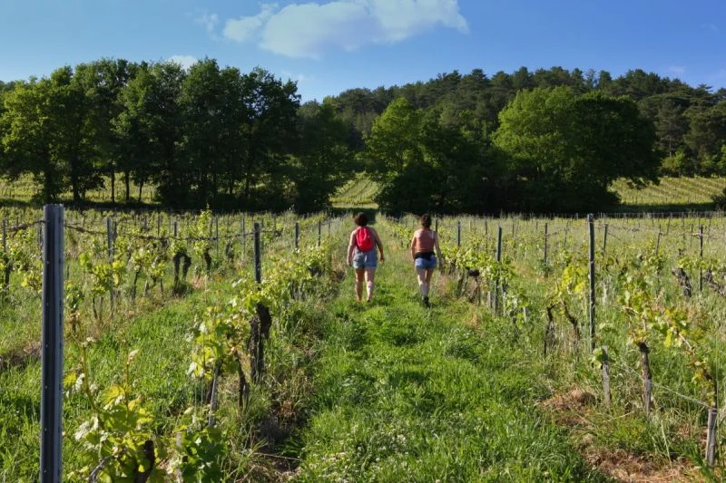 Randonnée Oenorando® Dans les pas d'Amédée le vigneron — Rabastens