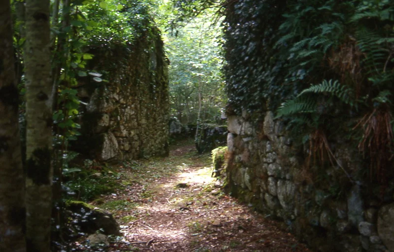 Randonnée Sicardens — Lamontélarié
