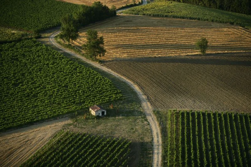 Randonnée Vignoble et châteaux — Cahuzac-sur-Vère