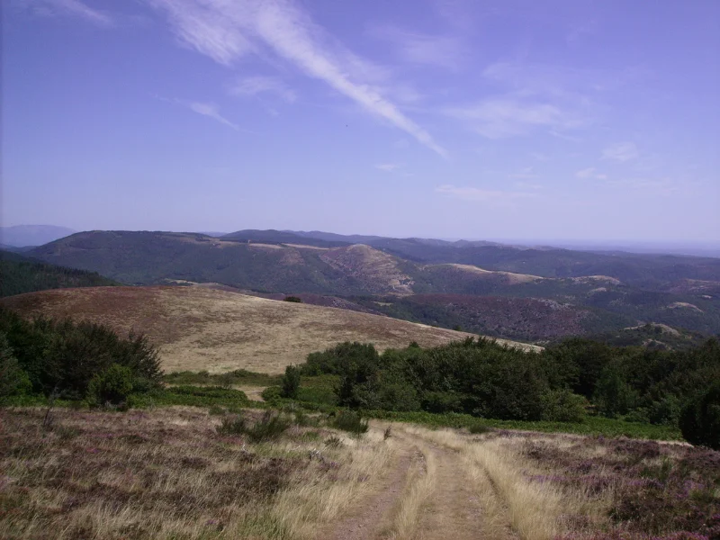 Randonnée Le sentier des 3 cols — Labastide-Rouairoux