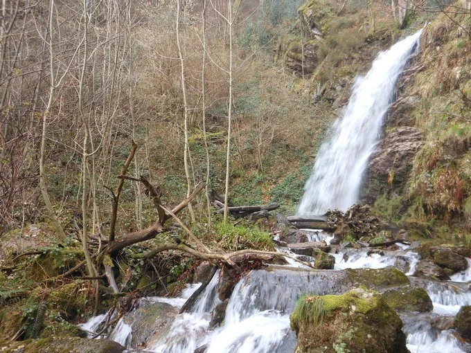 Randonnée Le sentier des Raynauds — Saint-Amans-Soult