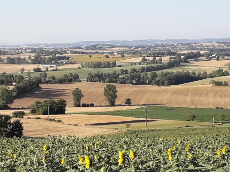 Randonnée Sentier des Colombes - Variante courte — Florentin