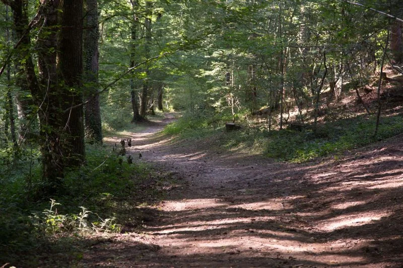 Randonnée Sentier de découverte de la forêt de Sérénac — Sérénac