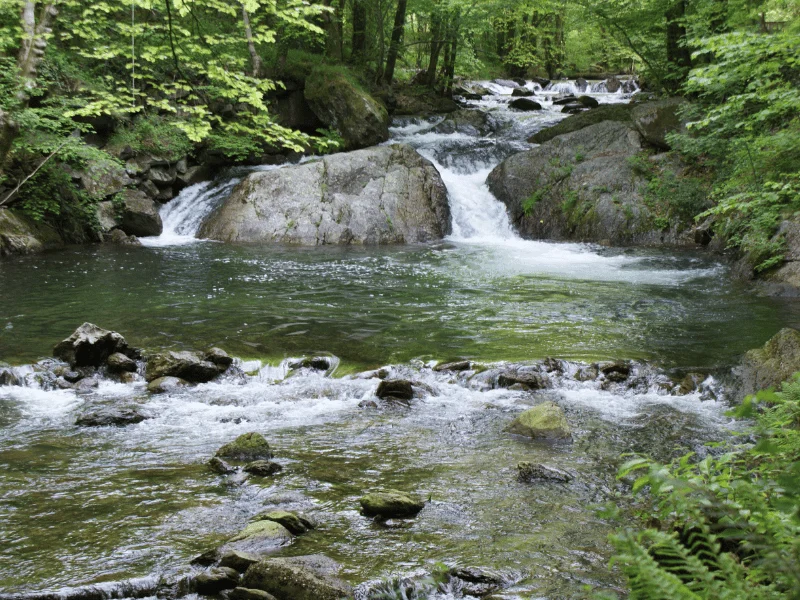 Randonnée Le ruisseau de Candesoubre — Albine