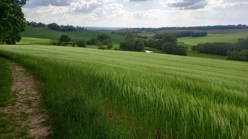 Randonnée Sentier des coteaux — Lincarque