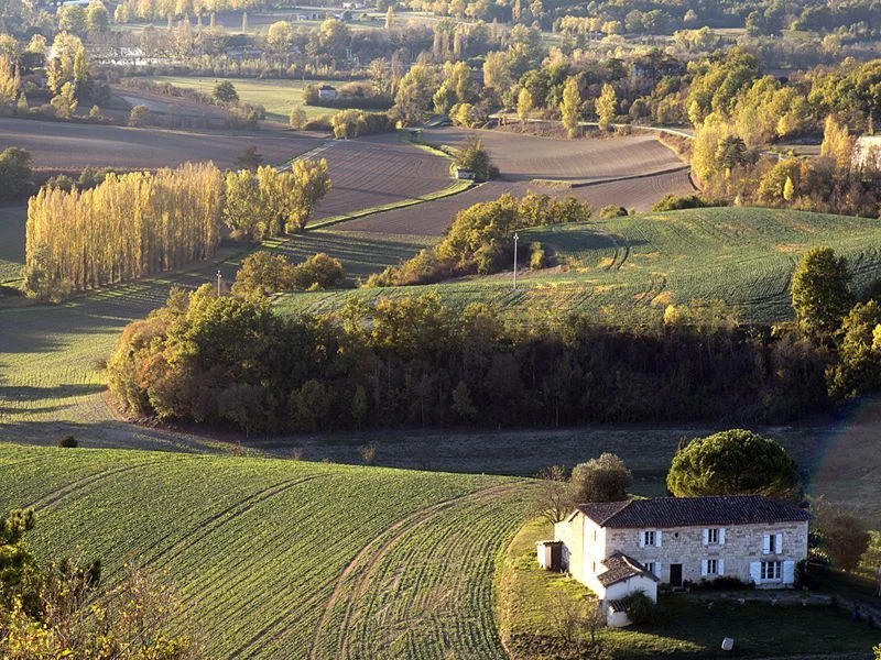 Randonnée Sentier du château de Lagarde — Castelnau-de-Montmiral