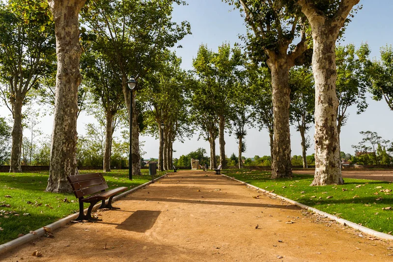 Randonnée Sentier urbain de Lavaur — Lavaur