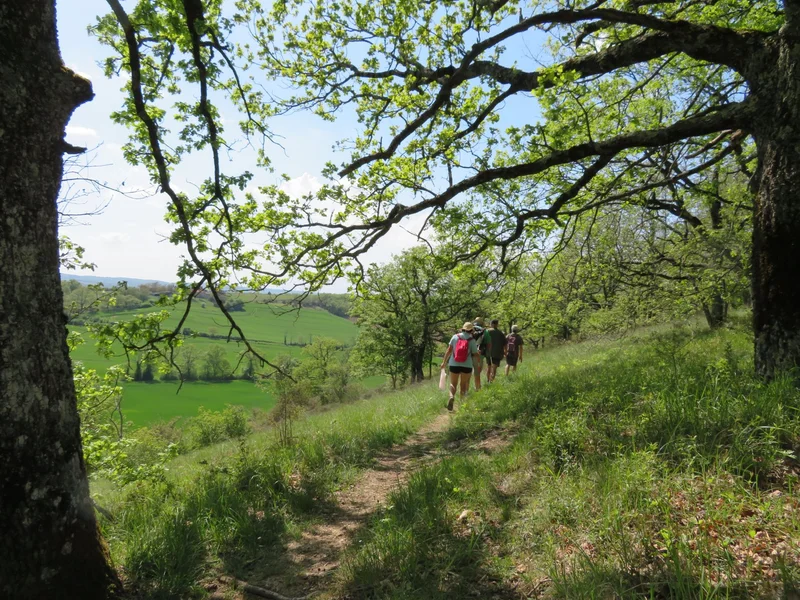 Randonnée Sentier des coteaux — Saint-Julien-du-Puy