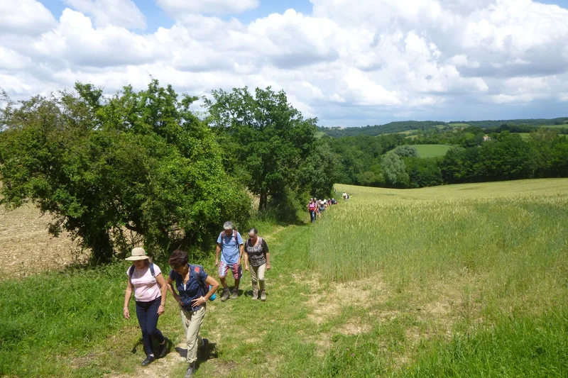 Randonnée Boucle de la Ricaudié · Puylaurens