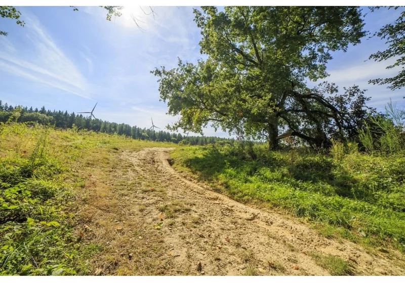 Randonnée Le circuit du pas du Loup — Serviès