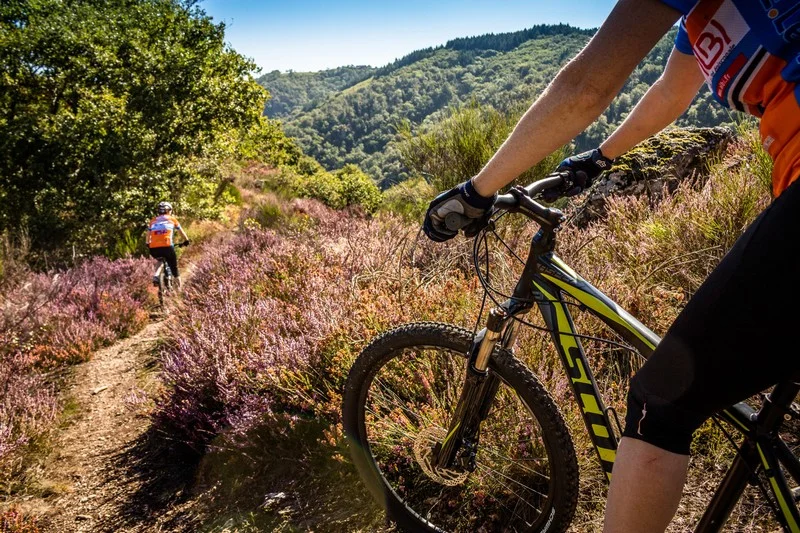 VTT VTT circuit n°3 - secteur Lacrouzette — Lacrouzette