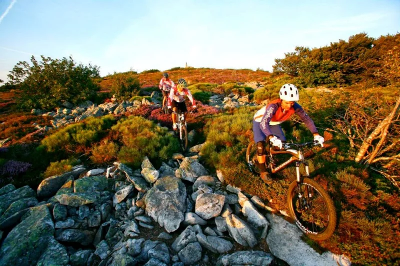 VTT VTT circuit n°8 - secteur de Cambounès — Fontbelle