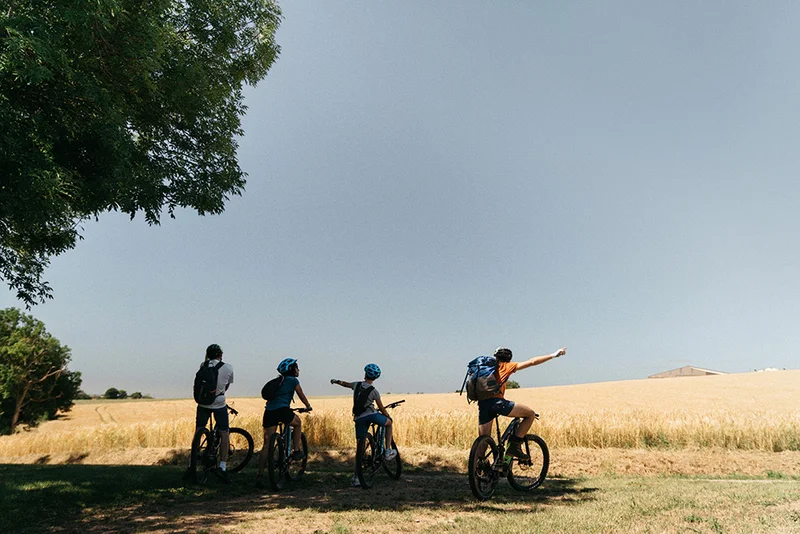 VTT Circuit VTT n°3 - Les jumeaux du Viaur — Tanus