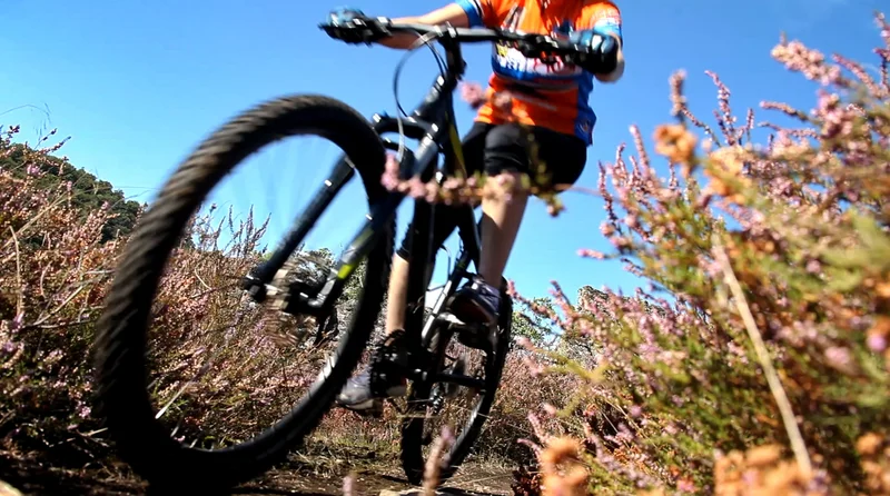 VTT Circuit VTT n°5 - La virée calcaire — Virac