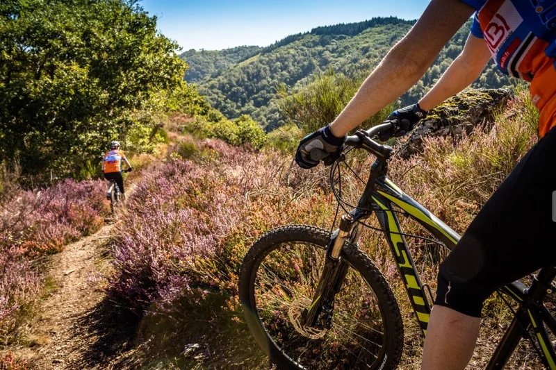 VTT Circuit VTT n°2 Lacaune les Bains — Lacaune