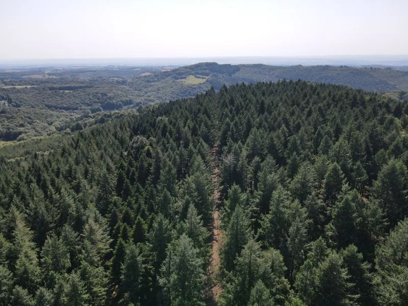 VTT Circuit VTT n°1 Château de Montredon — Montredon-Labessonnié