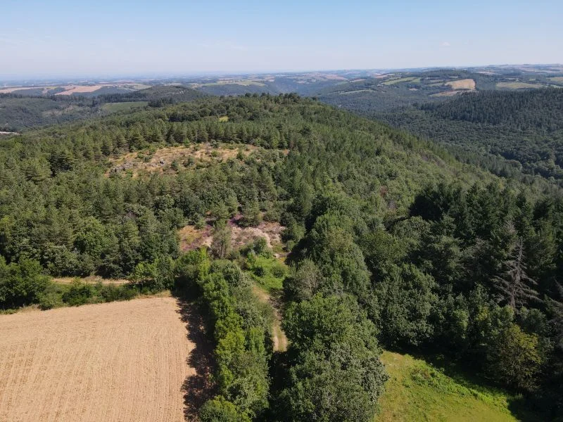 VTT Circuit VTT n°5 L'Observatoire le Nautonnier — Montredon-Labessonnié