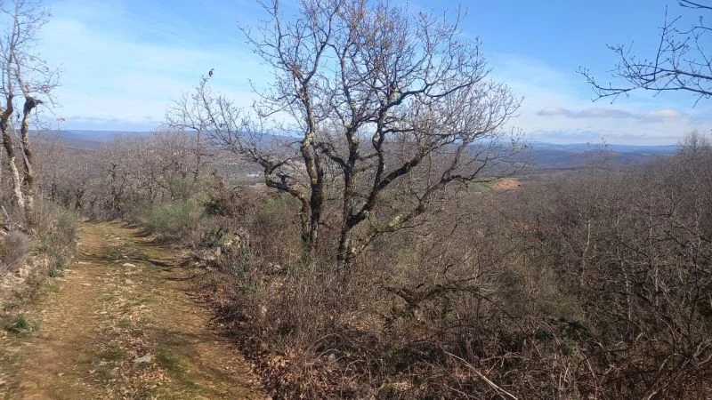 VTT Circuit VTT n°33 Le Marathon — Penne