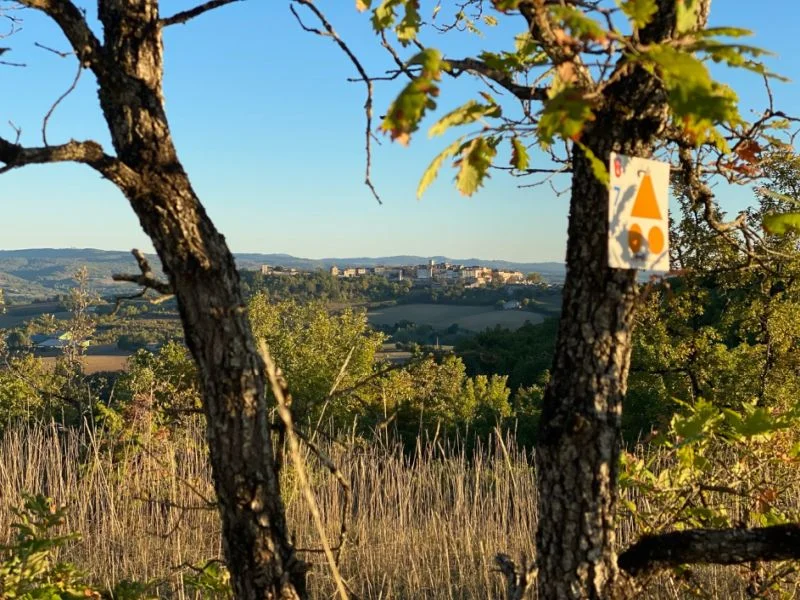 VTT Circuit VTT 6 Chemin de Gradille — Castelnau-de-Montmiral