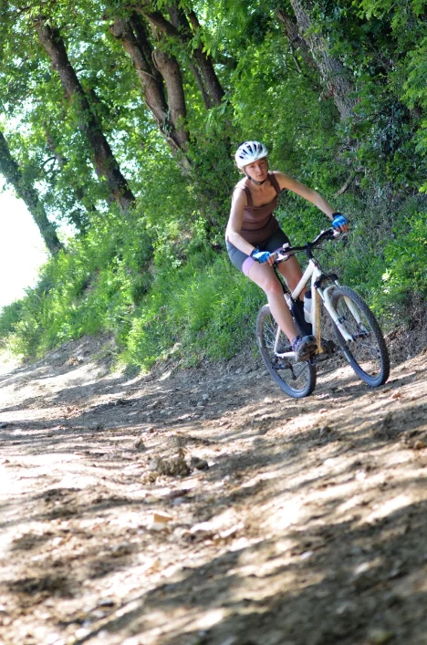 VTT Circuit VTT 8 Grand tour de Grésigne — Castelnau-de-Montmiral