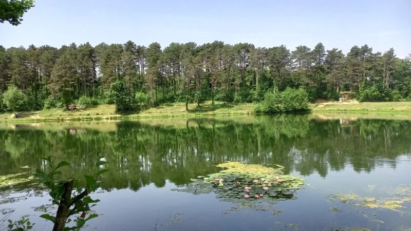 VTT Circuit VTT 14 Les lacs — Graulhet