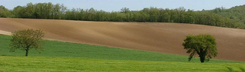VTT Circuit VTT 16 Les crêtes de Briatexte — Graulhet