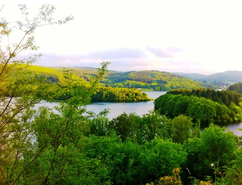 VTT Circuit VTT n°13 — La Salvetat-sur-Agout