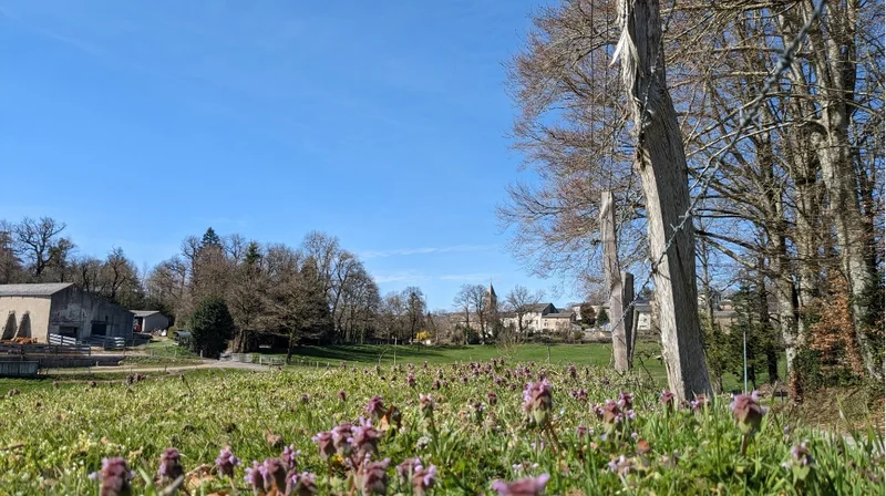 VTT Circuit VTT n °20 — Anglès
