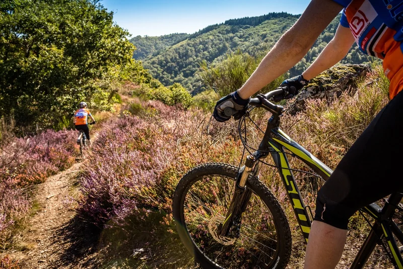 VTT N°1 Frescati — Anglès