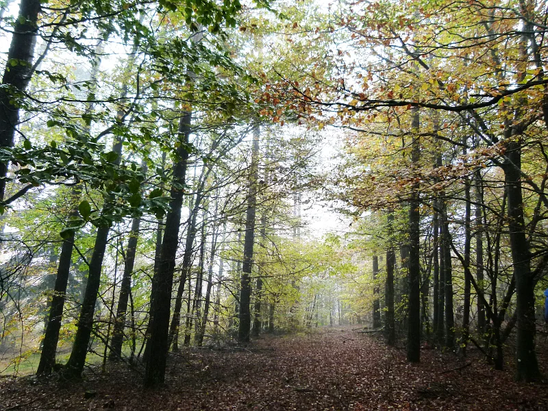 VTT N°2 Les Cols Buissonniés — Labastide-Rouairoux
