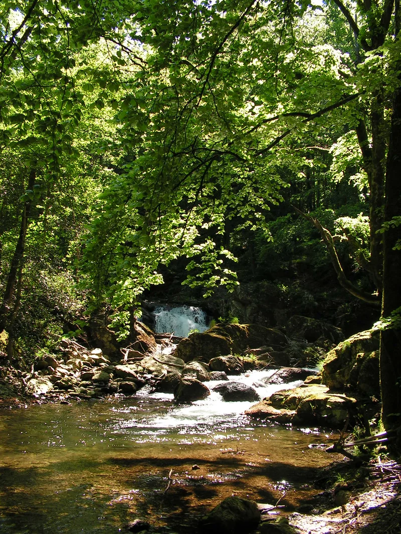 VTT N°10 Albine-Candesoubre-Crêtes — Labastide-Rouairoux