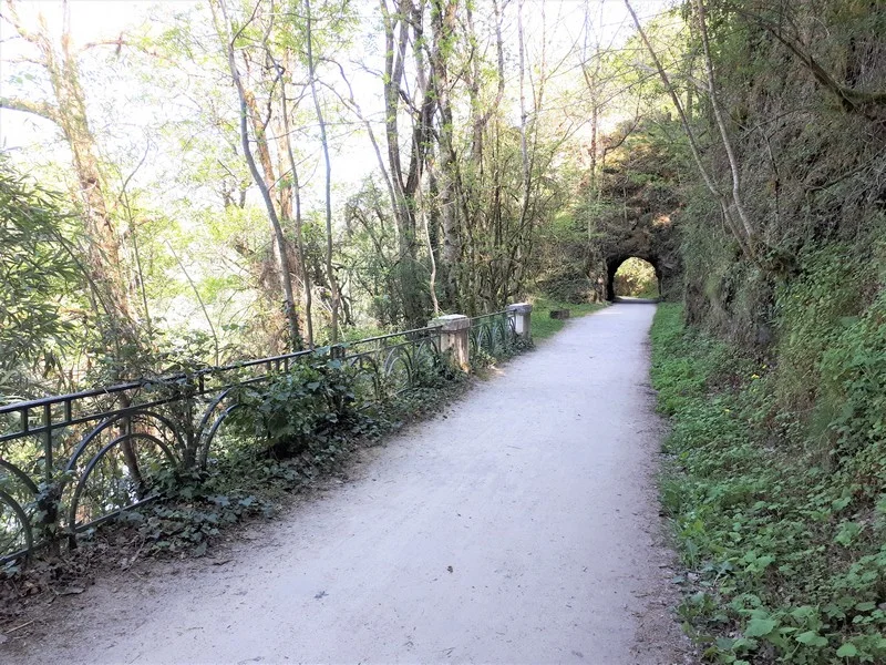 Vélo de route Vélo petites routes - Au fil de l'Agout via Burlats et Roquecourbe — Castres